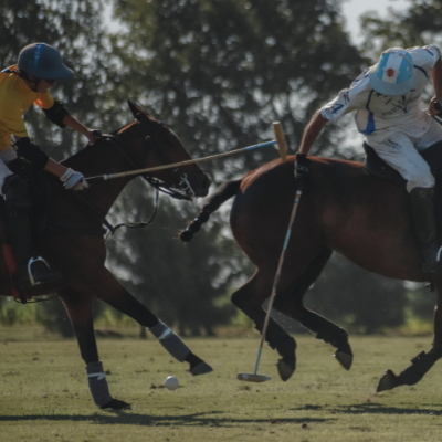 jogadores de polo