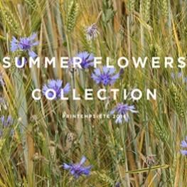 A coleção Summer Flowers