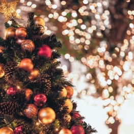 Que visual para um Natal especial?
