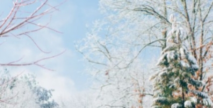 Os imprescindíveis do inverno