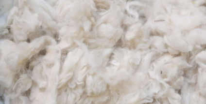 A lã merino: a combinação perfeita entre calor e elegância